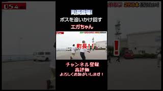 【町長登場！】伊豆大島のボスを追いかけ回すエガちゃん【公認切り抜きチャンネル】 #Shorts