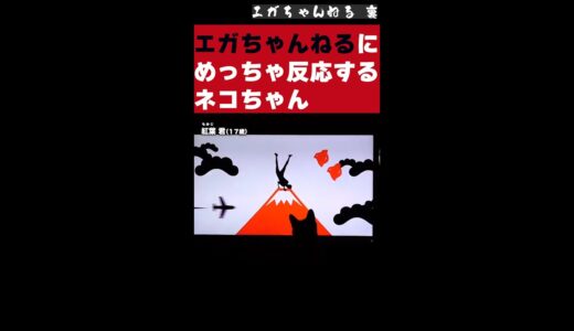 エガちゃんねるにめっちゃ反応するネコちゃん【エガちゃんねる 公認切り抜き】#shorts