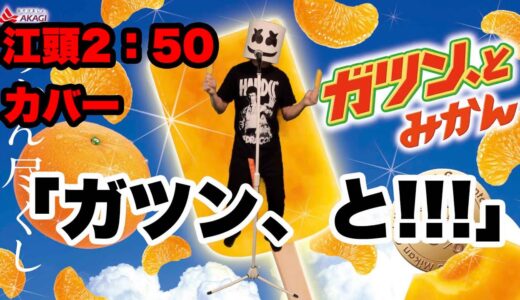 『ガツン、と!!!』 江頭2:50　COVER 【歌詞付き】　「ガツン、とみかん」 CMソング　 エガフェス2022　エガちゃんねる