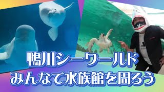 【鴨川シーワールド】海が大好きエガちゃんと水族館を周ってみよう！【エガちゃんねる切り抜き】