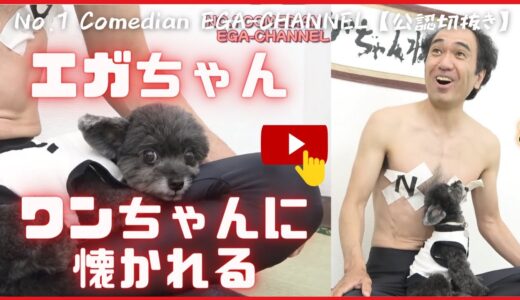 【エガちゃん　ワンちゃんに懐かれる!】FUNNY VIDEO 江頭2:50 失笑　🍒 リラックス　ストレス解消!