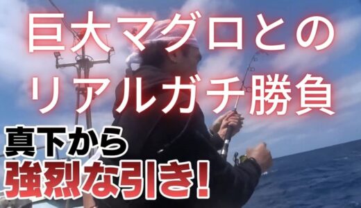 【江頭】巨大マグロとの死闘【モンスター】