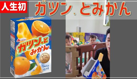 エガちゃんねるで話題！ガツン、とみかんに初挑戦🍊🍊