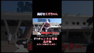 【鴨川シーワールド】エガ！海好きぃ！ #Shorts