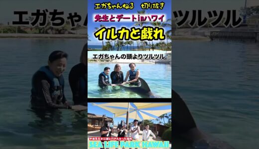 【エガちゃんねる切り抜き　平林都　鬼のマナー講師】イルカと戯れ💗先生とデート　inハワイ　SEA LIFE PARK　#shorts　【江頭2：50　平林都　鬼のマナー講師】