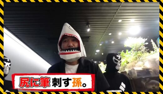 エガちゃん水族館へいく【エガちゃんねる】