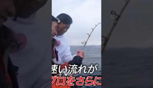 江頭、マグロとの格闘クライマックス!!【エガちゃんねる公認切り抜き】#shorts