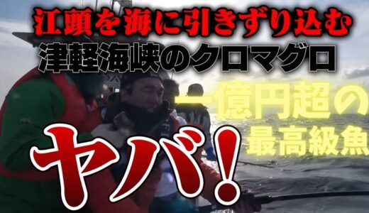 【エガちゃんねる】最高級のクロマグロと死闘を演じるエガちゃん【 切り抜き 大間のマグロ 黒いダイヤ 津軽海峡 エガちゃんねる切り抜き 江頭2:50 ブリーフ団 エガちゃんねるの名場面 】