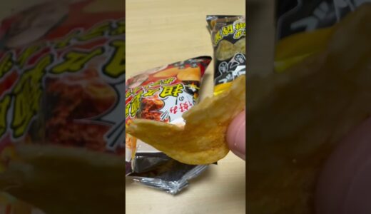 エガちゃんねるのポテチ 食べ比べてみた#Shorts