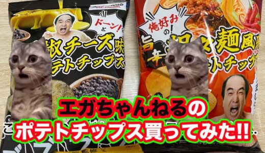 エガちゃんねるのポテトチップスを買ってみた!#猫ミーム #エガちゃんねる #ファミリーマート